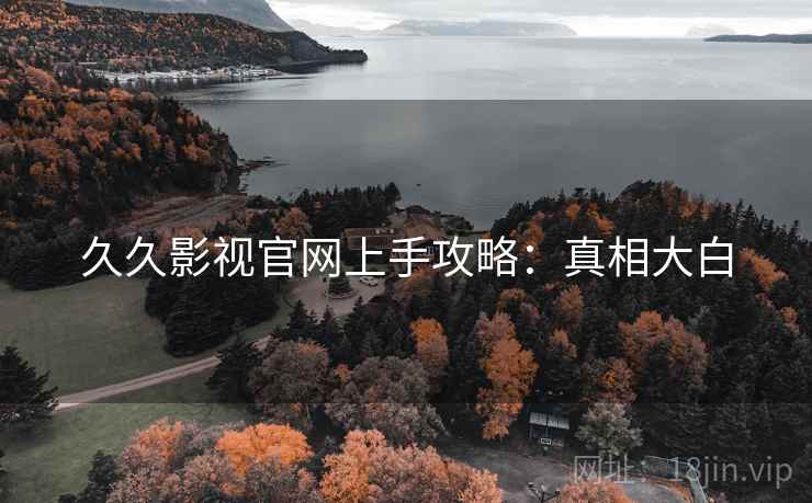久久影视官网上手攻略：真相大白