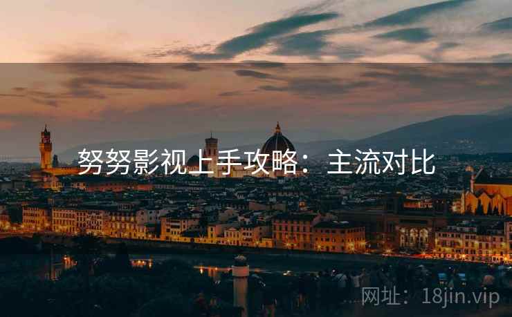 努努影视上手攻略：主流对比