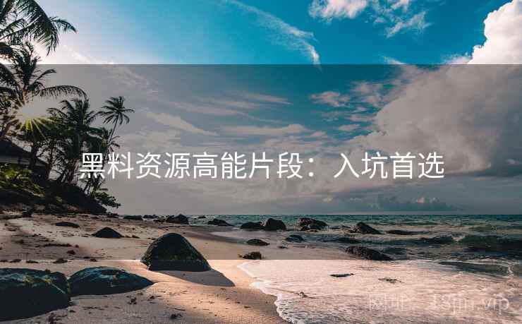 黑料资源高能片段：入坑首选