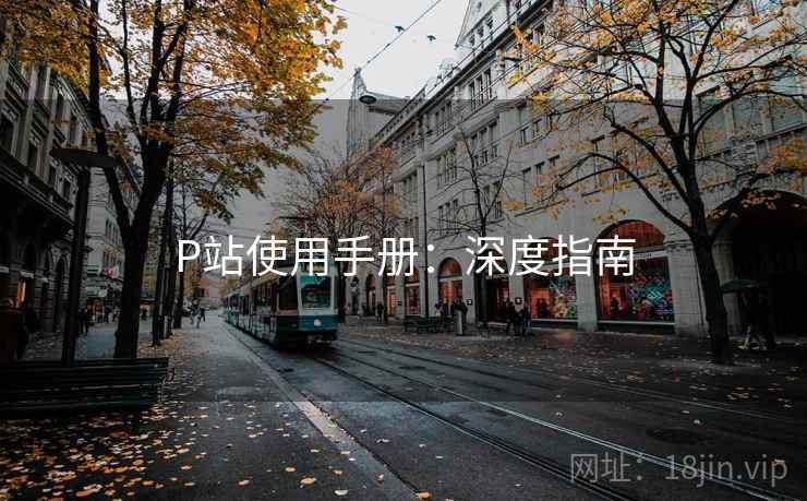 P站使用手册：深度指南