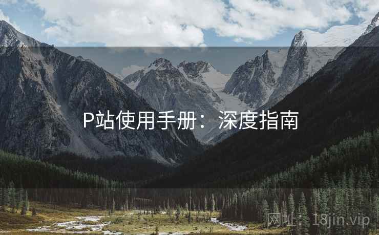 P站使用手册：深度指南